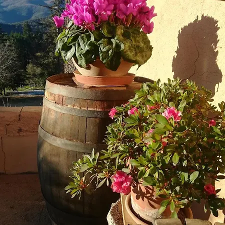 Con Jardín, Barbacoa, Piscina En Pleno Montseny * Arbúcies