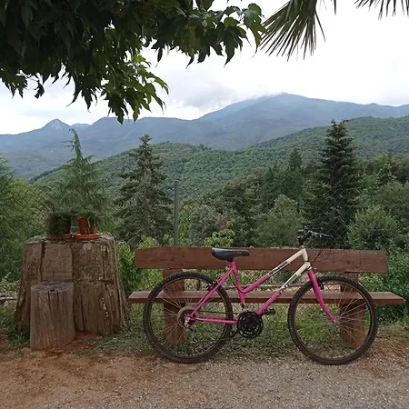 Con Jardín, Barbacoa, Piscina En Pleno Montseny * Arbúcies