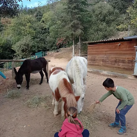 Casa rural Con Jardín, Barbacoa, Piscina En Pleno Montseny *
