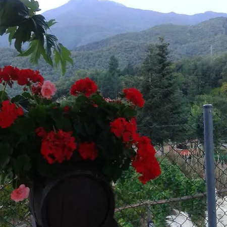 Con Jardín, Barbacoa, Piscina En Pleno Montseny Casa rural Arbúcies