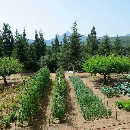 Casa rural Con Jardín, Barbacoa, Piscina En Pleno Montseny Arbúcies