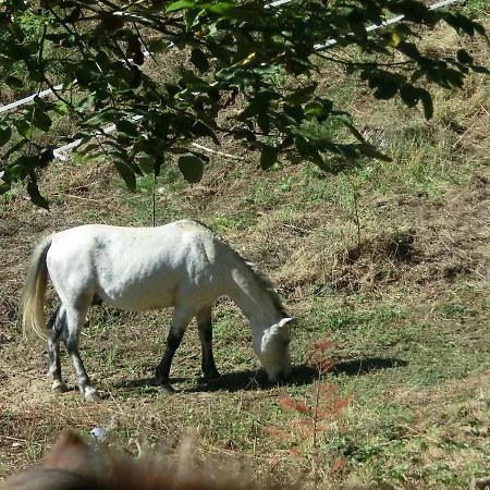 Con Jardín, Barbacoa, Piscina En Pleno Montseny *