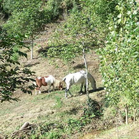 Casa rural Con Jardín, Barbacoa, Piscina En Pleno Montseny Arbúcies
